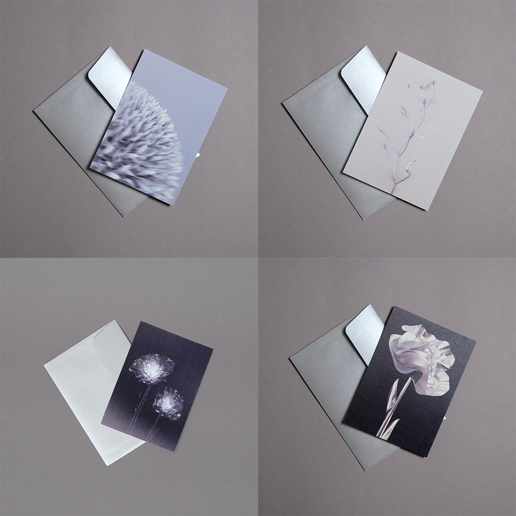 Pack 4 cartes postales