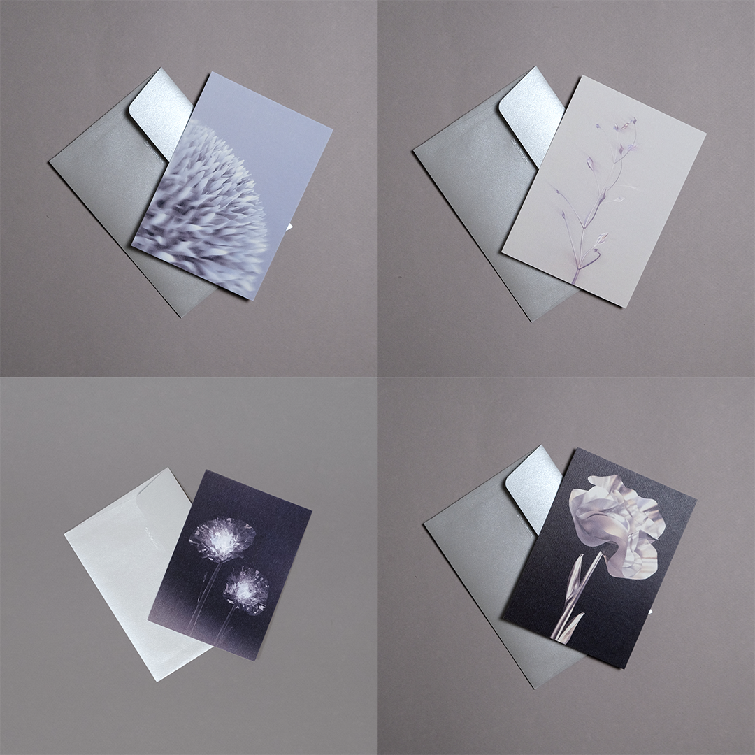 Pack 4 cartes postales