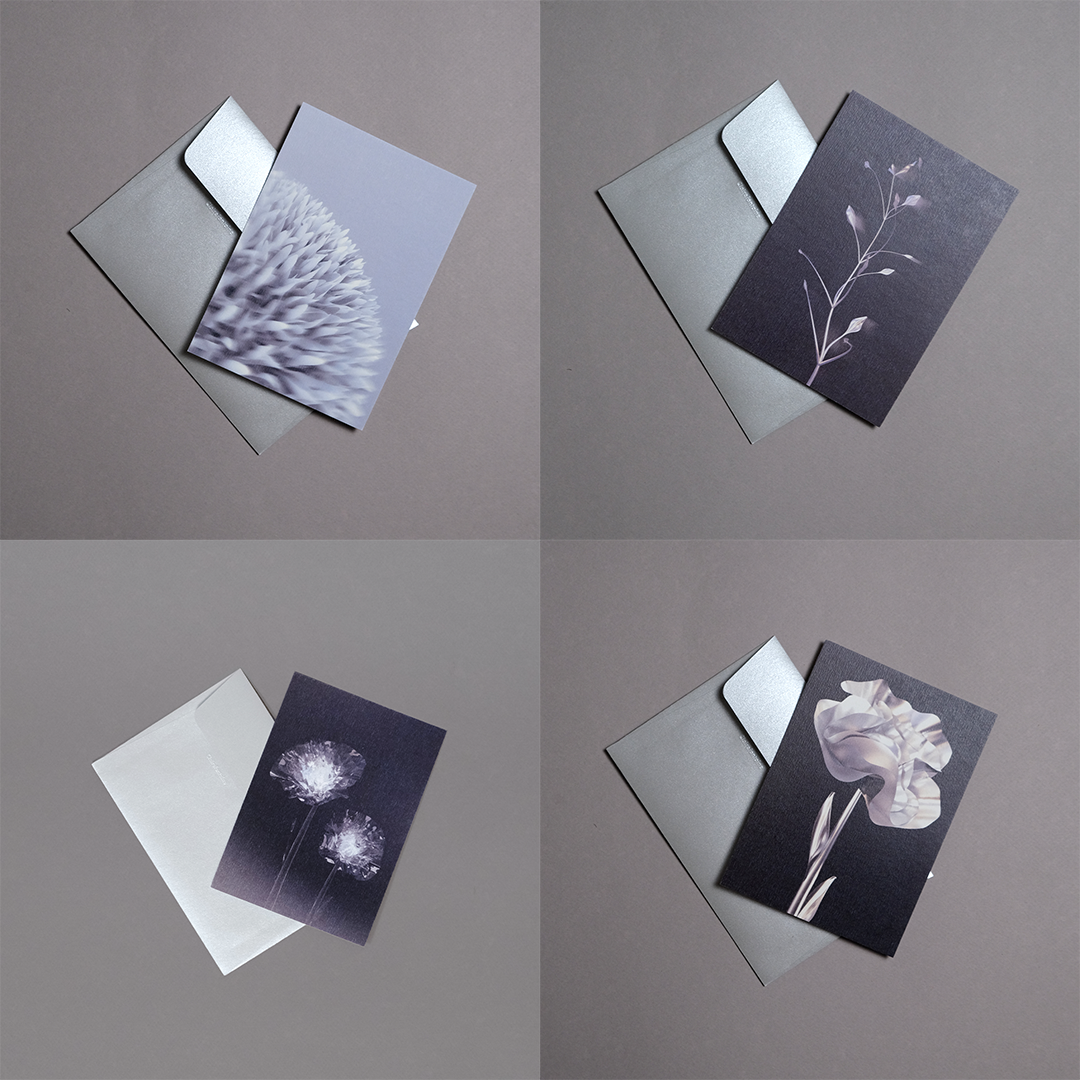 Pack 4 cartes postales