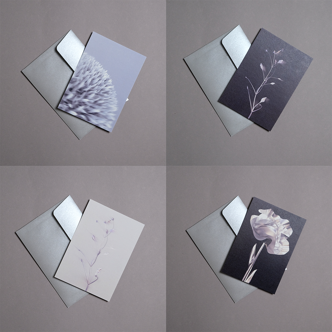 Pack 4 cartes postales