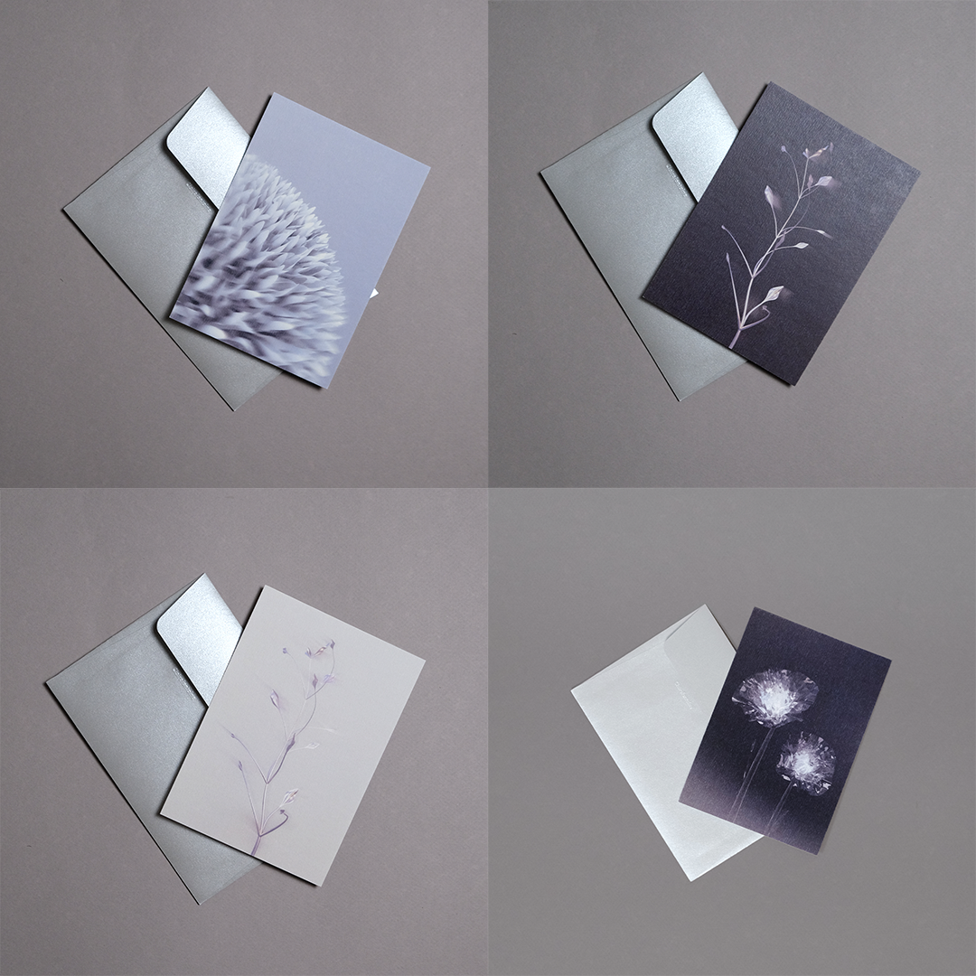 Pack 4 cartes postales