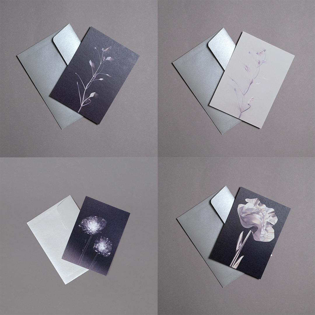 Pack 4 cartes postales