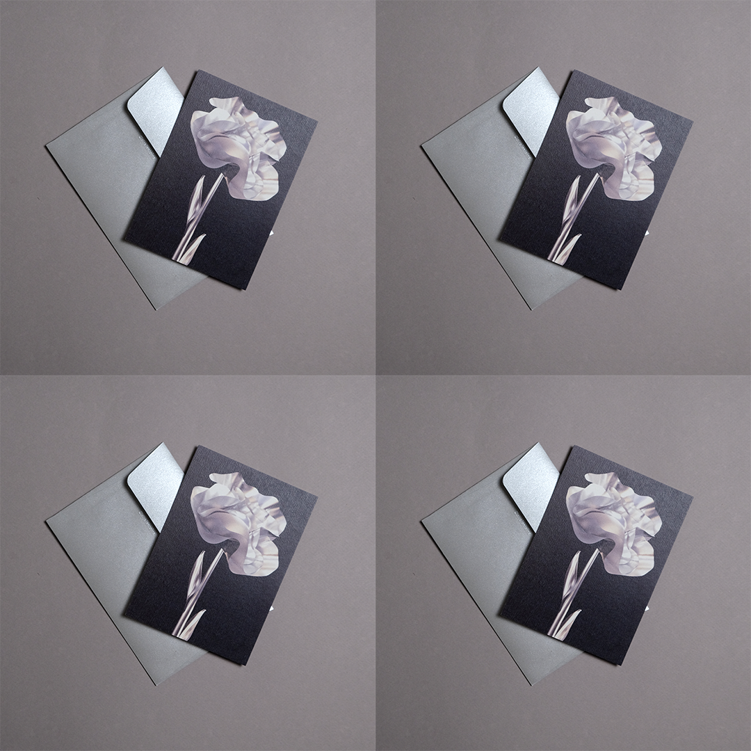 Pack 4 cartes postales