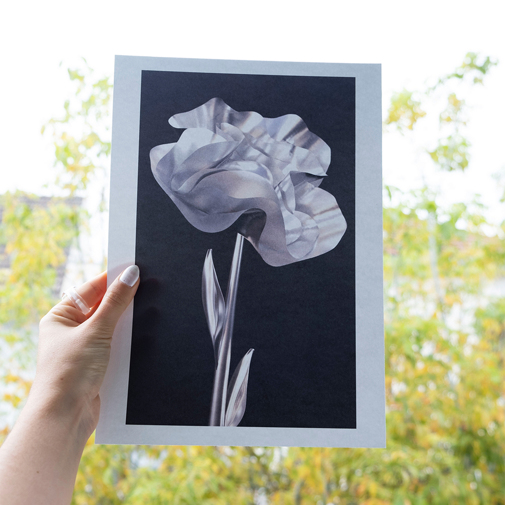 Herbarium 1, A4