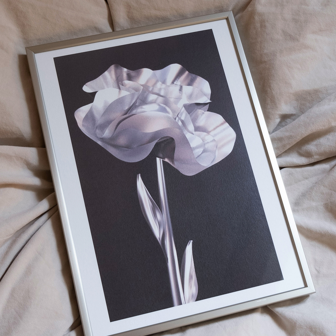 Herbarium 1, A4