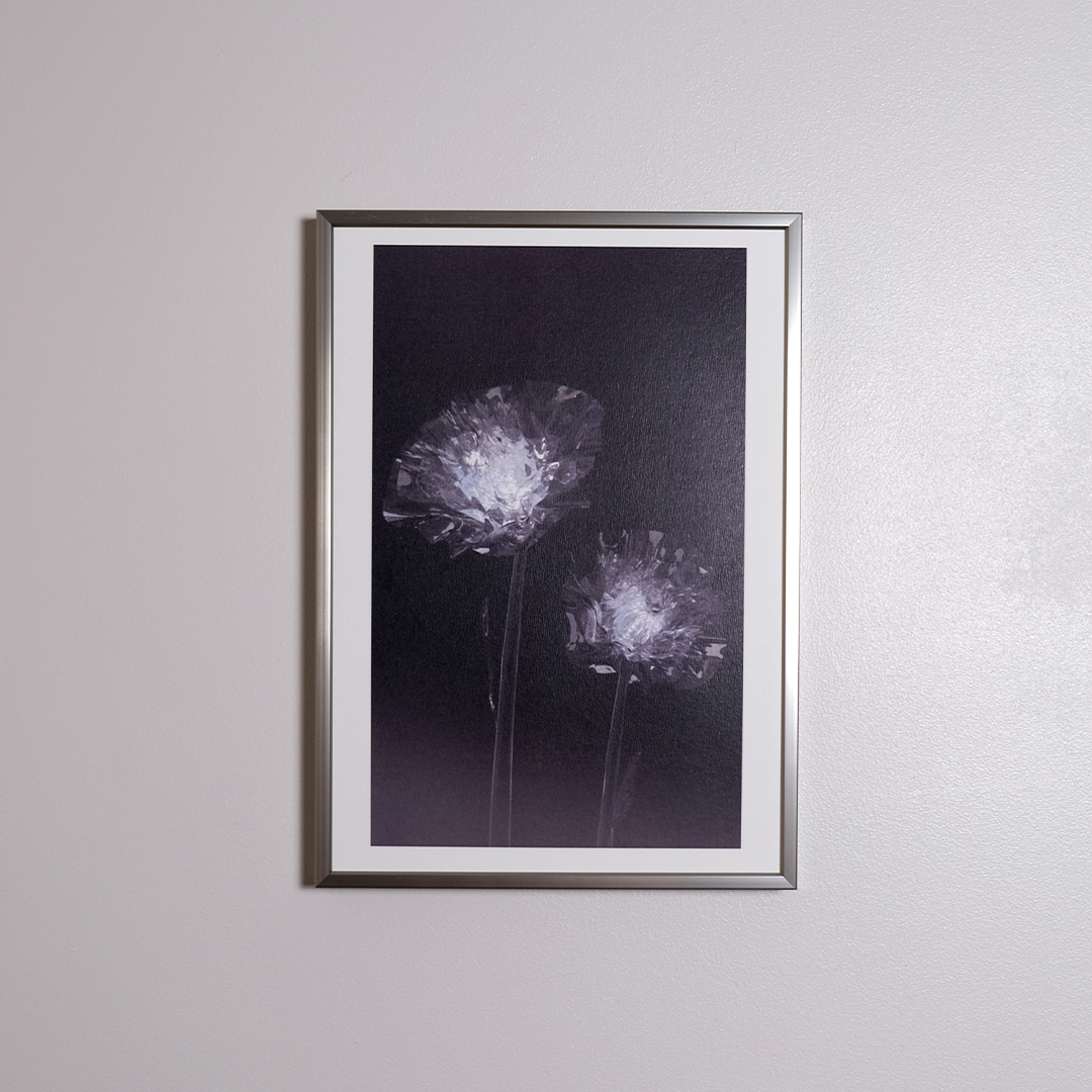 Herbarium 2, A4