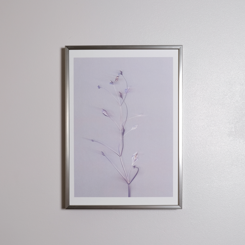 Herbarium 3 bright, A4