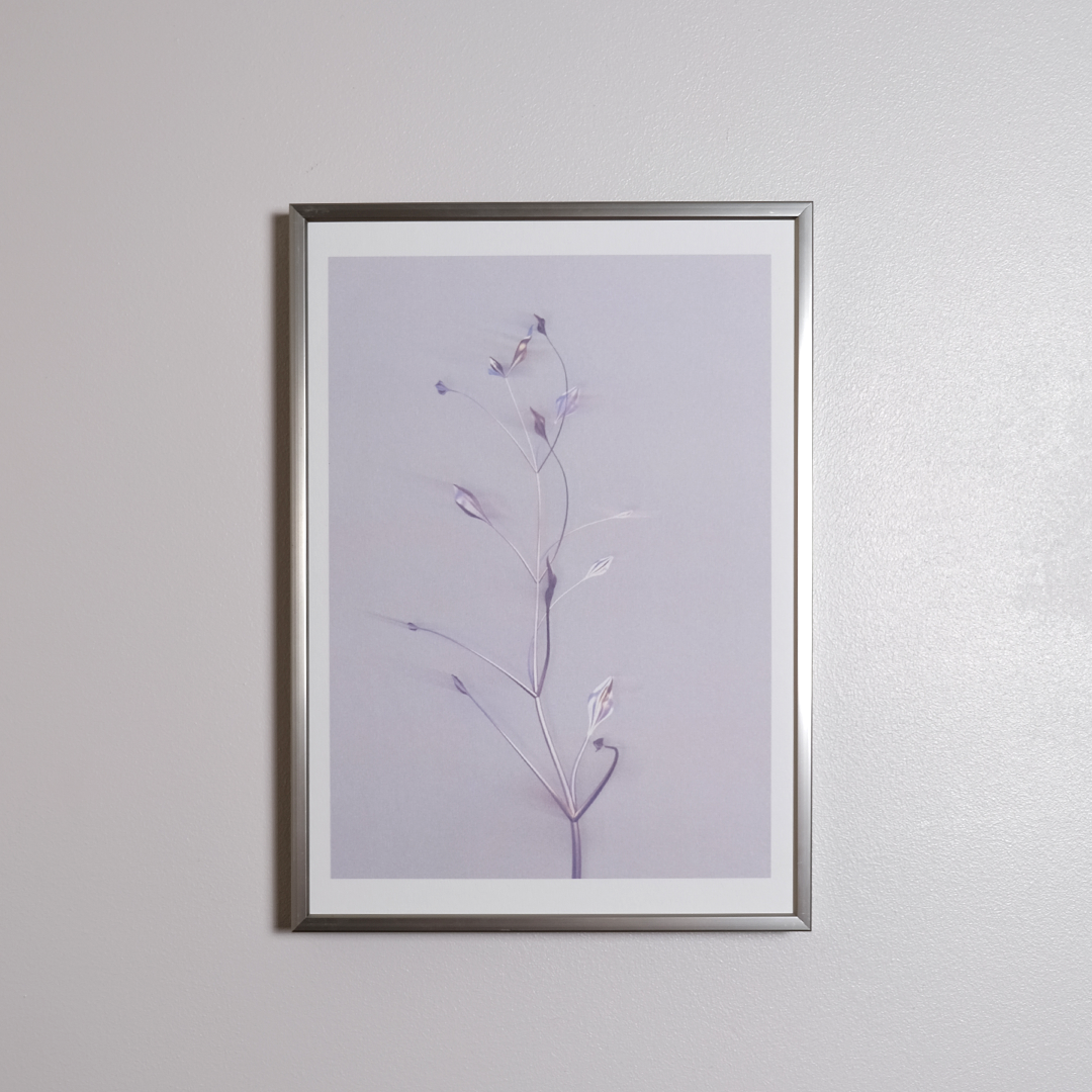 Herbarium 3 bright, A4