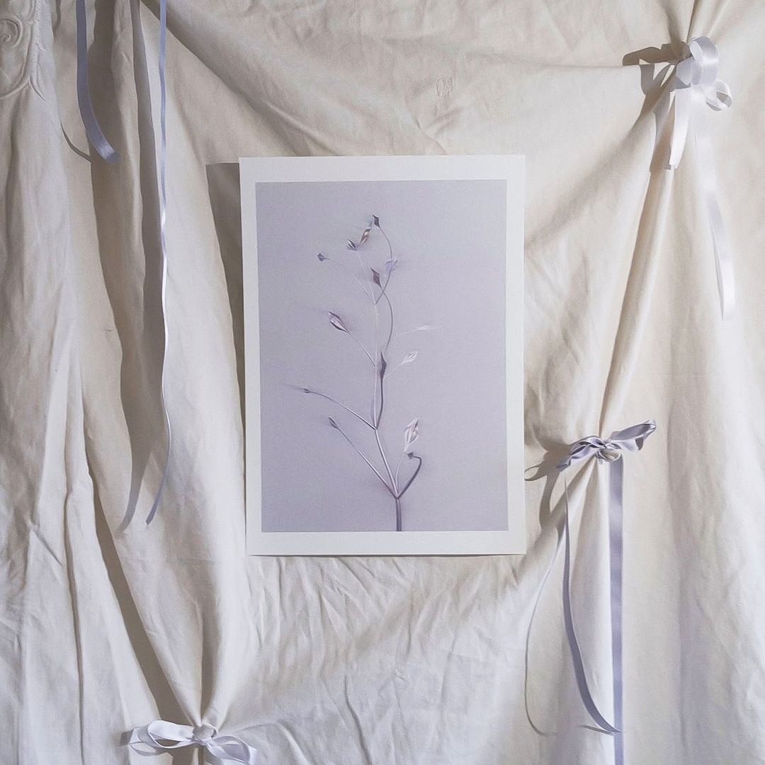 Herbarium 3 bright, A4