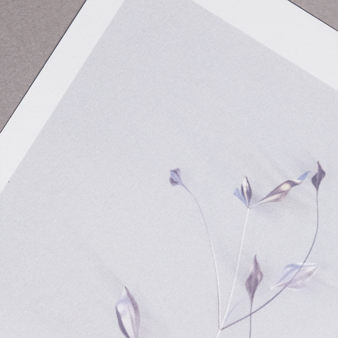 Herbarium 3 bright, A4