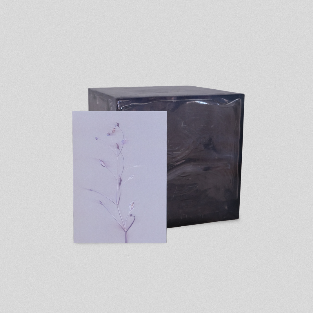 Herbarium 3 bright, A5