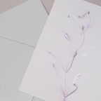 Herbarium 3 bright, A5