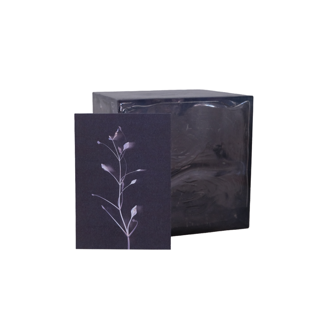 Herbarium 3 dark, A5
