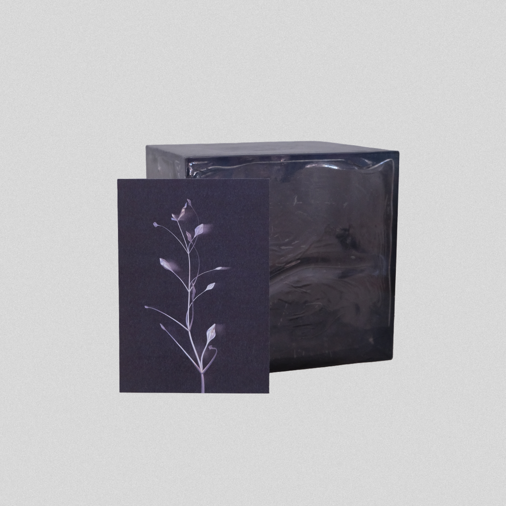 Herbarium 3 dark, A5