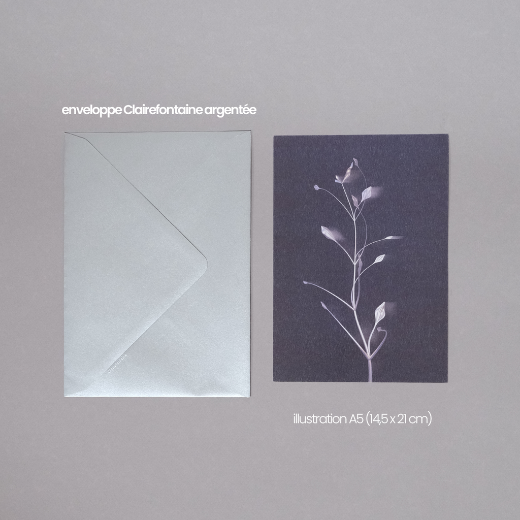 Herbarium 3 dark, A5