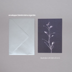 Herbarium 3 dark, A5