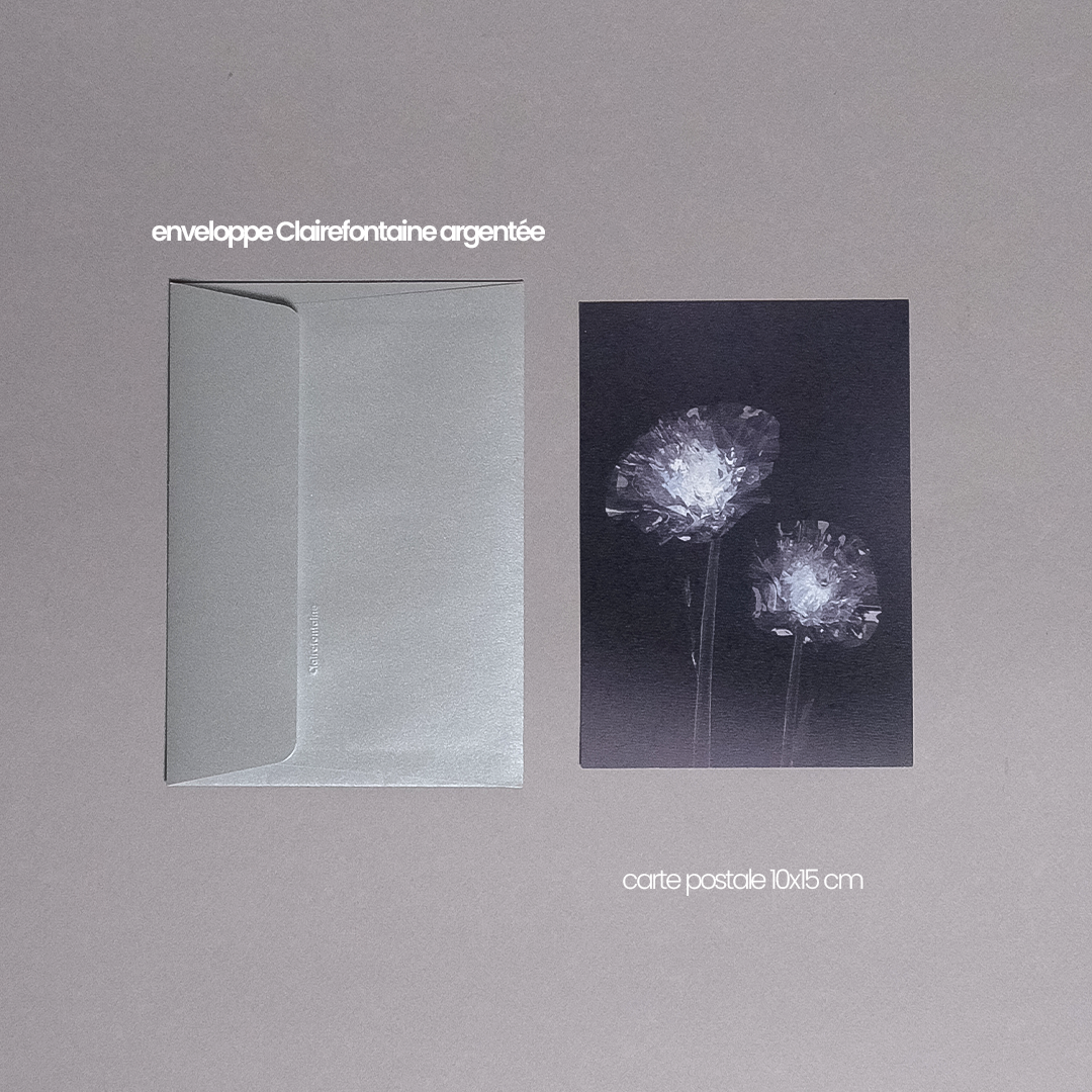 Herbarium 2, carte postale