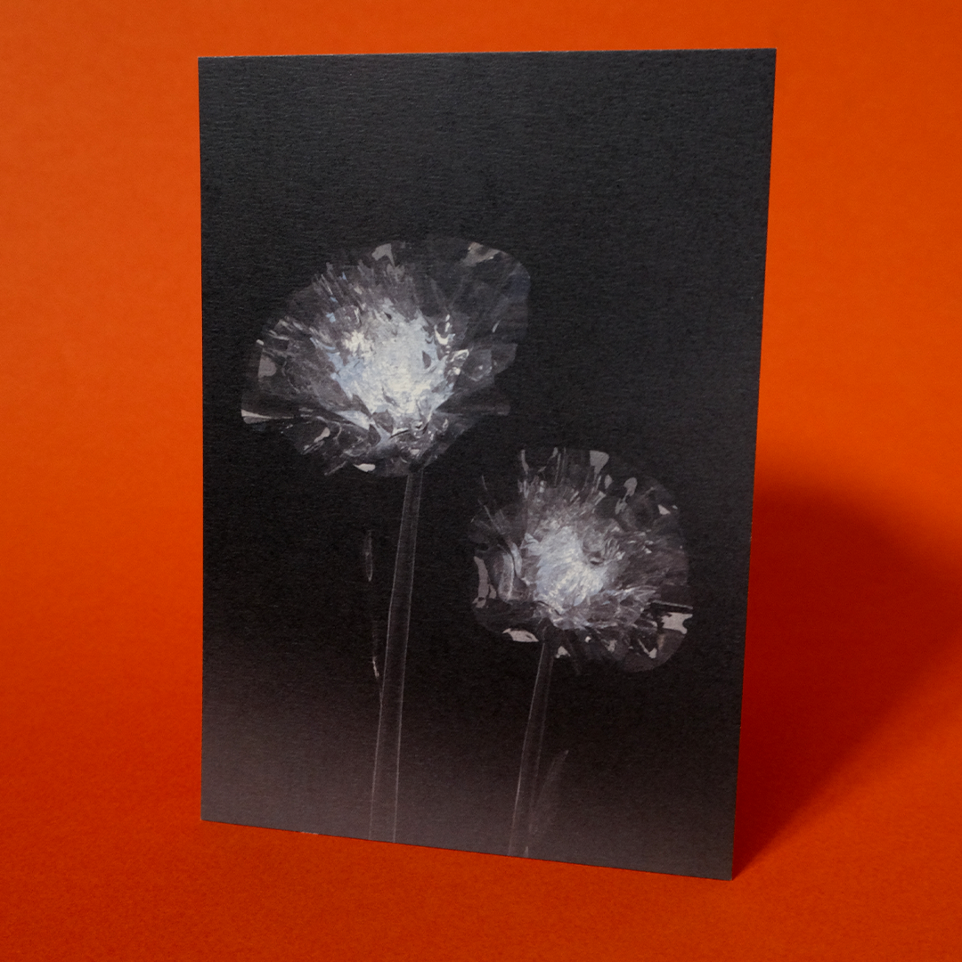 Herbarium 2, carte postale
