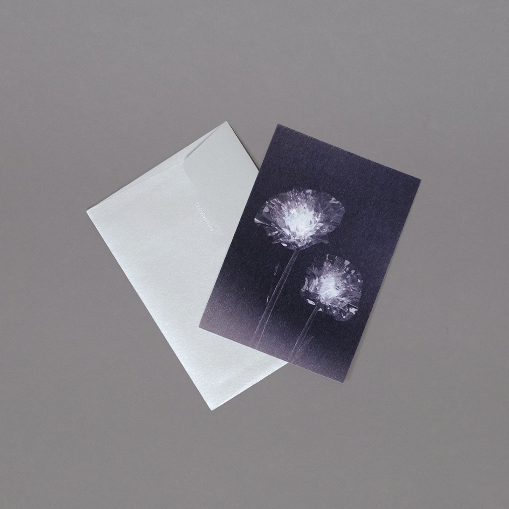 Herbarium 2, carte postale