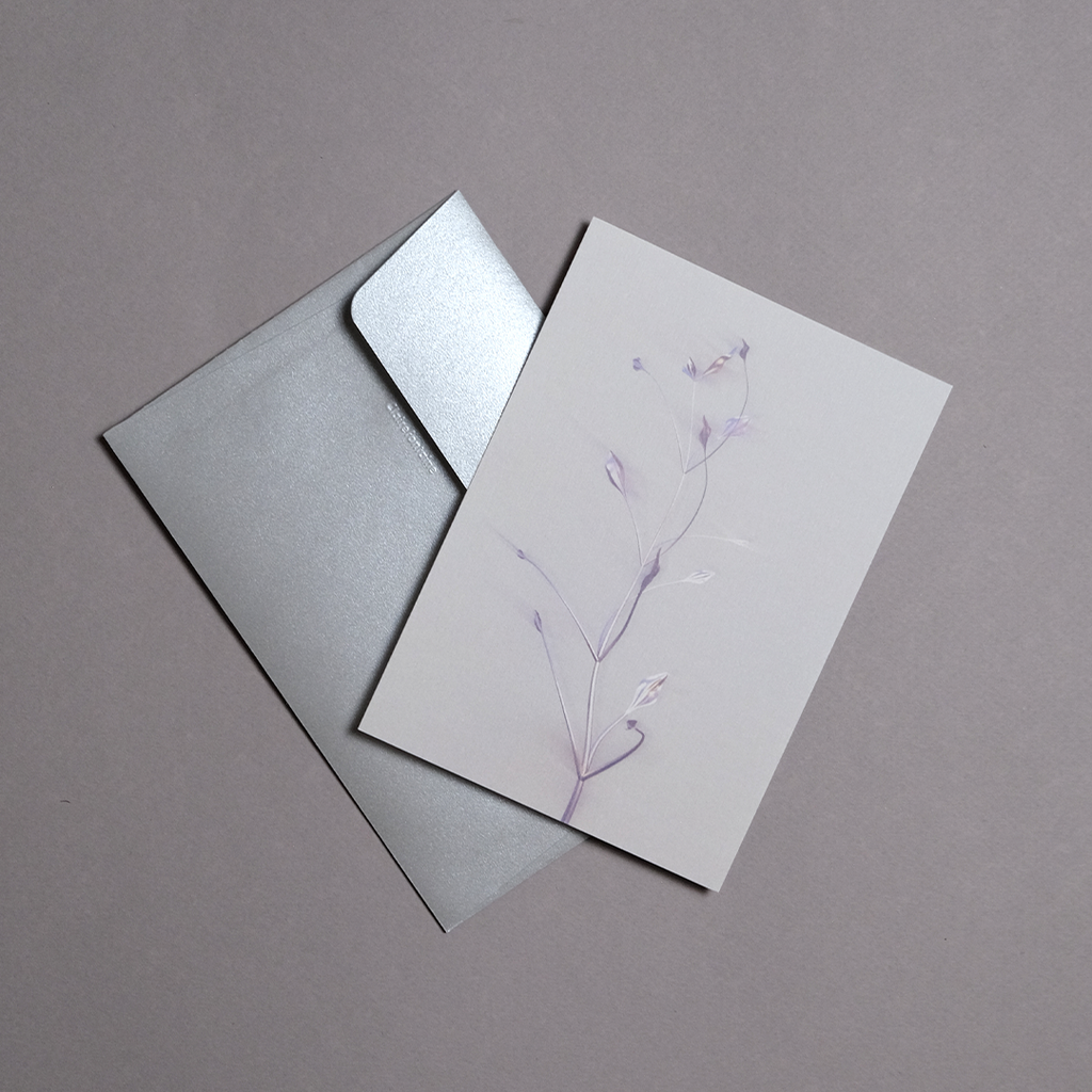 Herbarium 3 bright, carte postale