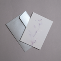 Herbarium 3 bright, carte postale