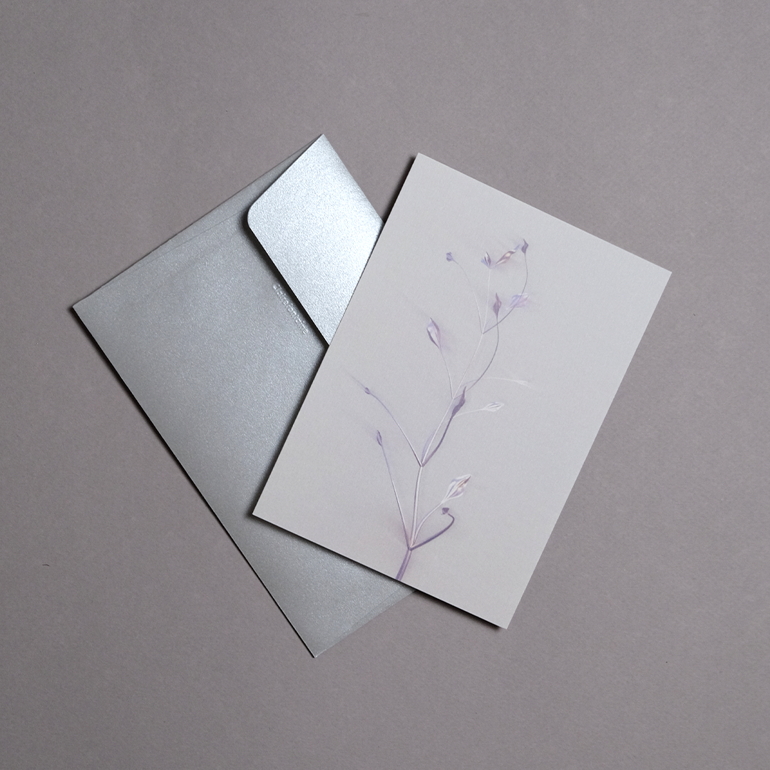 Herbarium 3 bright, carte postale