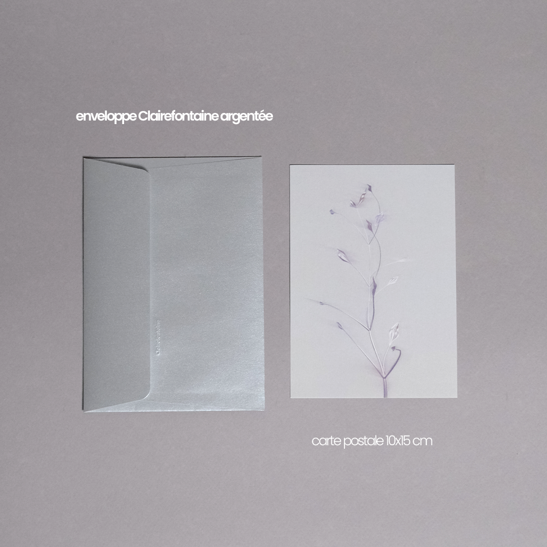Herbarium 3 bright, carte postale