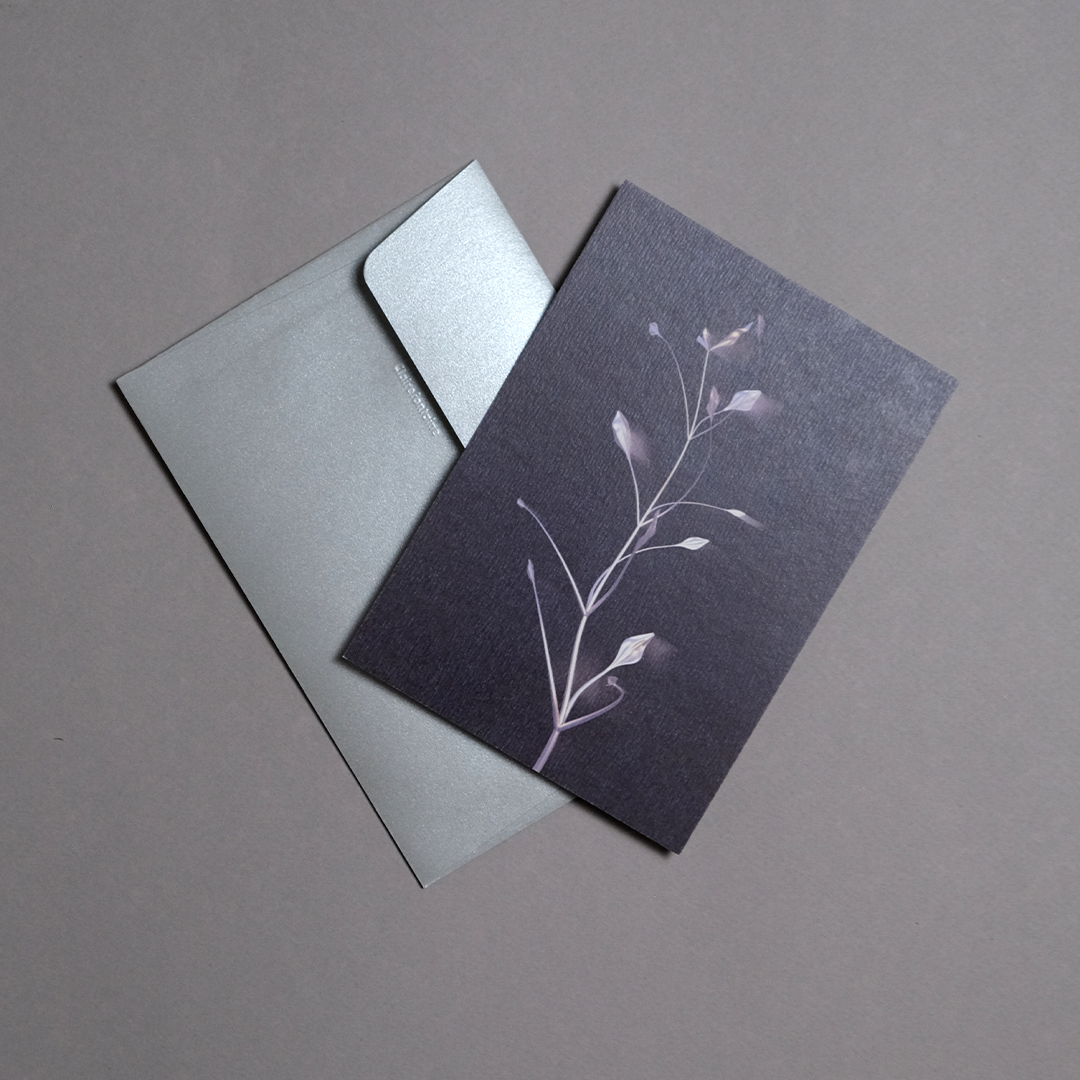 Herbarium 3 dark, carte postale