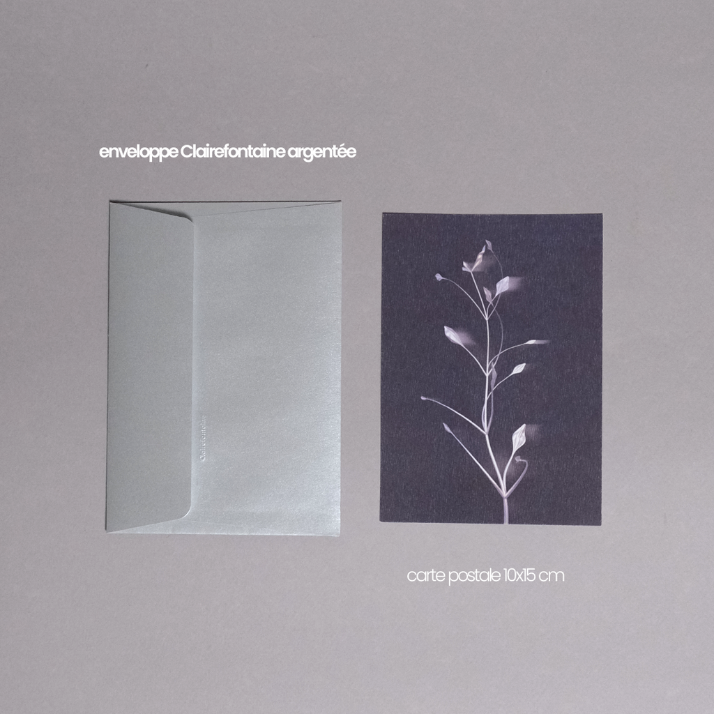 Herbarium 3 dark, carte postale