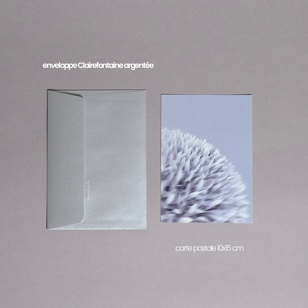 Herbarium 9, carte postale